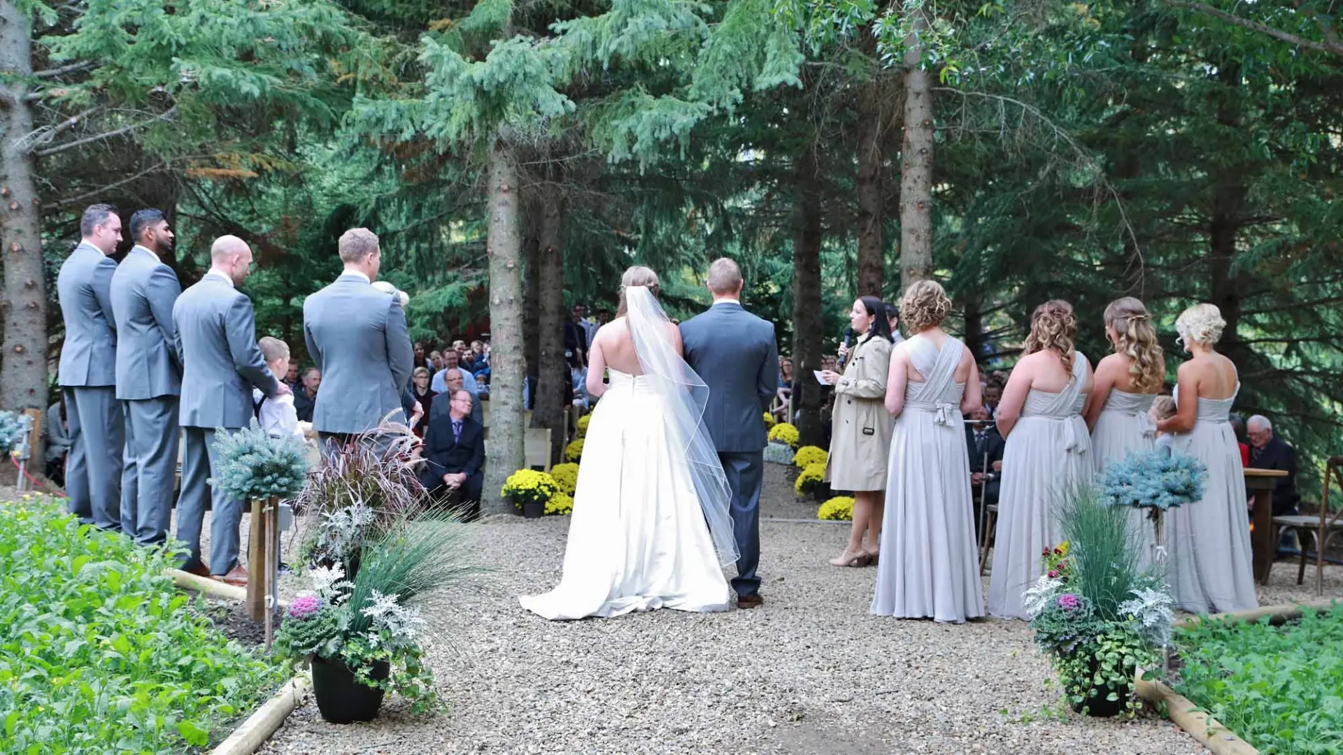 Forest wedding ceremony